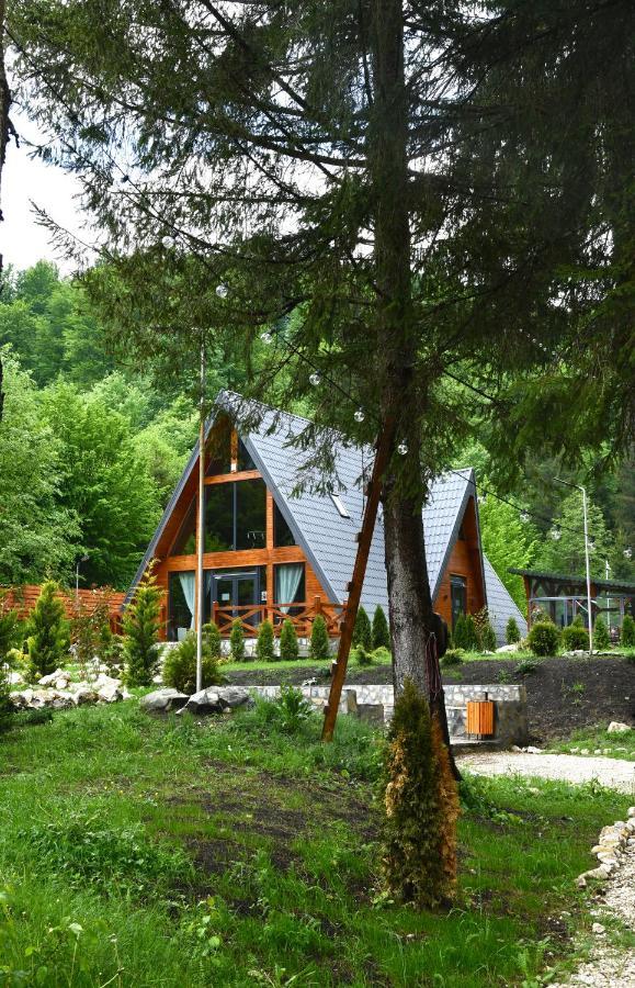 Campulung Chalet A Frame Villa Bughea de Sus Exterior photo